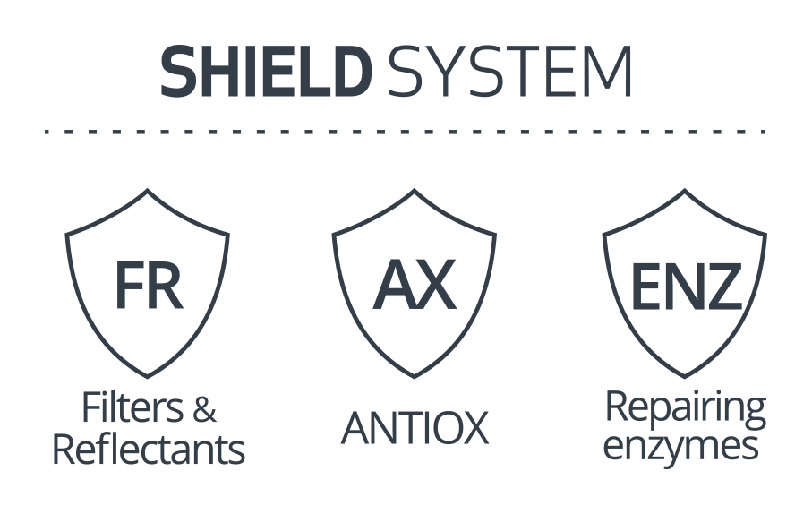 Imagen escudos filtros