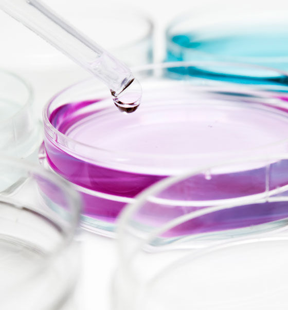 Our vocation for innovation