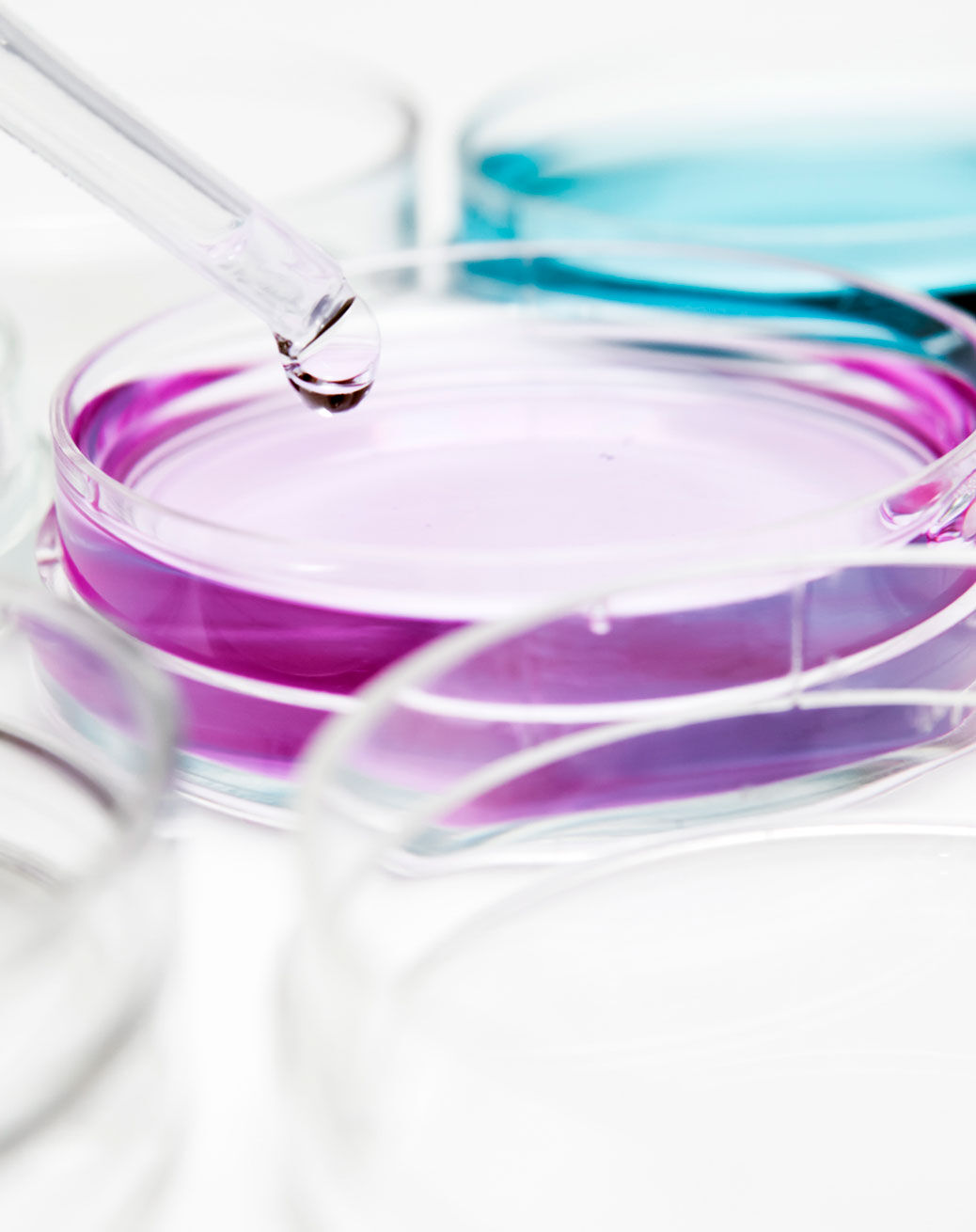 Our vocation for innovation