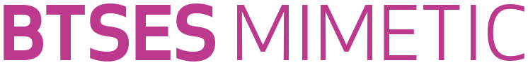 Imagen logo BTSES MIMETIC