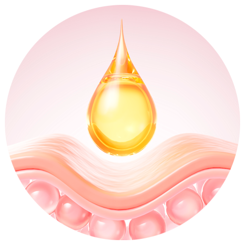 Imagen representativa ingrediente ceramidas y otros