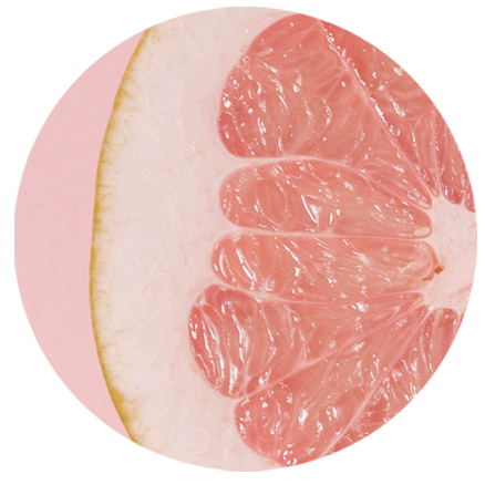 Imagen representativa ingrediente Antioxidantes