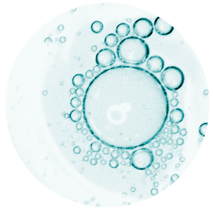 Imagen representativa ingrediente Hidratantes y calmante