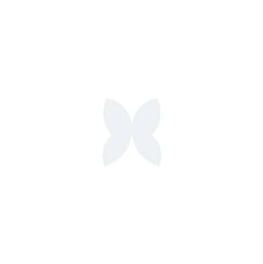 C-VIT 5
